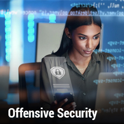 Offensive Security